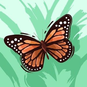 Meet your Posher, Kylie